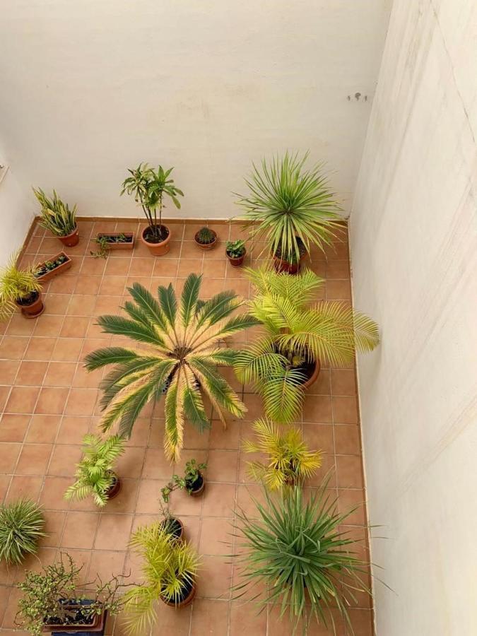 Apartamento En El Centro, Tranquilo Y Luminoso Malaga Exterior photo
